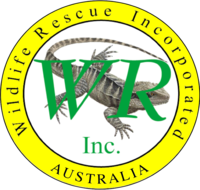 Wildlife Rescue Department - Australia